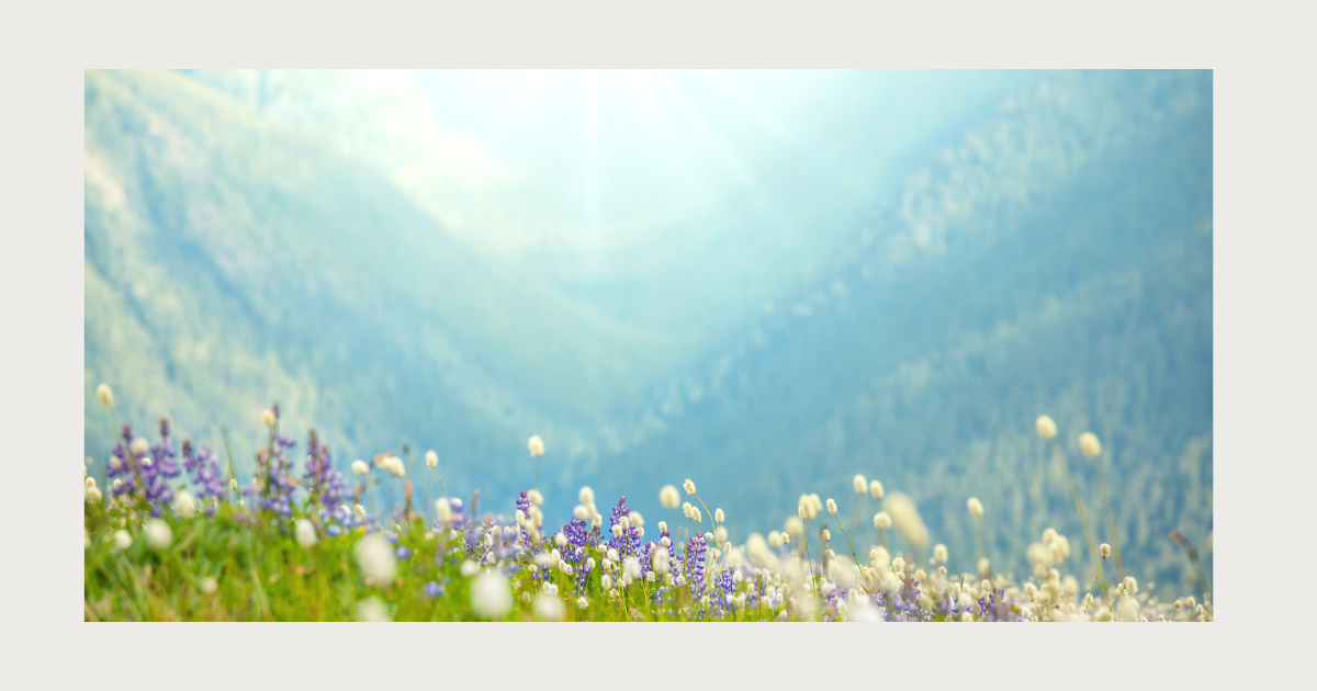 『葬送のフリーレン』に学ぶ——成熟した大人の距離感とバウンダリー